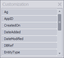 The Customization form displays hidden column headers